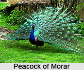 Morar Cantonment, Madhya Pradesh