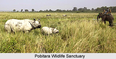 Morigaon District, Assam