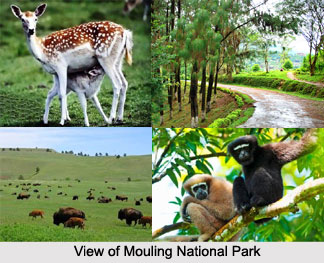 Mouling National Park, Arunachal Pradesh