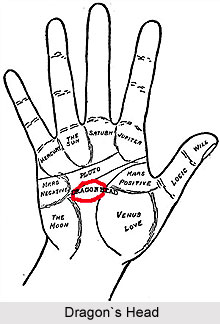 Mount of Dragon`s Head, Palmistry