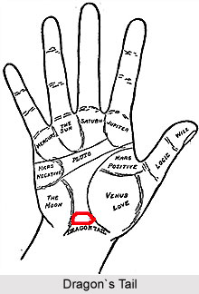 Mount of Dragon`s Tail, Palmistry