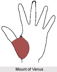 Mount of Venus, Palmistry