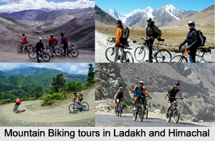 Biking Expeditions in India