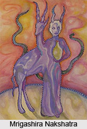 Mrigashira Nakshatra , Astrology