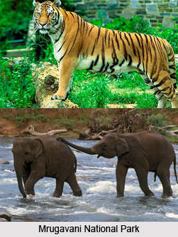 Mrugavani National Park, Hyderabad