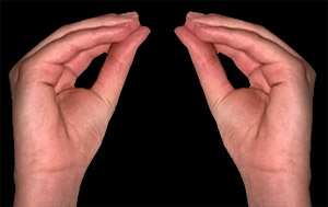 Mukula Mudra, Yoga