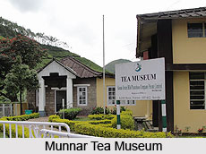 Munnar Tea Museum, Kerala
