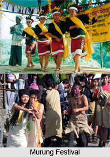 Murung Festival, Indian Tribal Festival