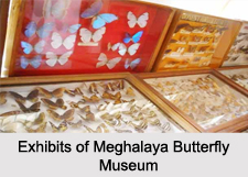 Museums of Meghalaya