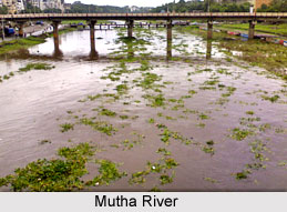 Mutha River, Indian River