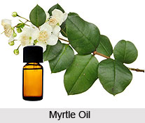 Myrtle Oil