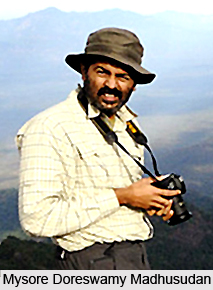 Mysore Doreswamy Madhusudan, Indian Conservationist