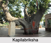 Mythological Forests in India
