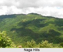 Naga Hills, Kohima, Nagaland