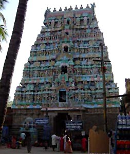 Sri Naganathaswamy temple in Thanjavur District, Tamil Nadu
