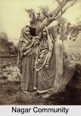 Nagar Community, Brahmin, Indian Community