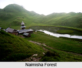 Naimisha Forest