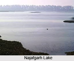Najafgarh Lake, South West Delhi