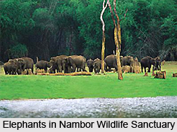 Nambor Wildlife Sanctuary, Assam
