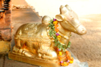 Nandi