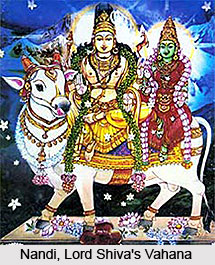 Nandi, Vahana of Lord Shiva