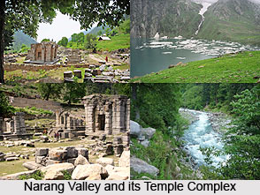 Naranag, Ganderbal district, Jammu and Kashmir