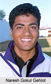 Naresh Gokul Gehlot, Rajasthan Cricketer