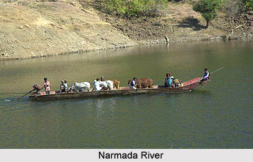 Geography of Narsinghpur District, Madhya Pradesh