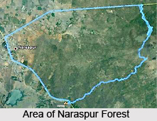 Narsapur, West Godavari, Andhara Pradesh