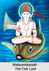 Nath Siddha Matsyendranath, Nath Siddhas