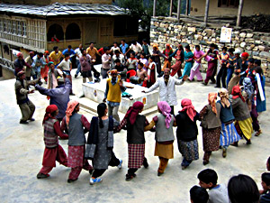 Nati dance in Himachal Pradesh