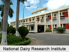 National Dairy Research Institute, Karnal, Haryana