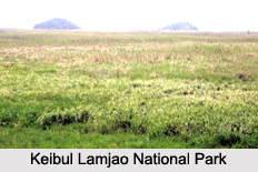 National Park of Manipur