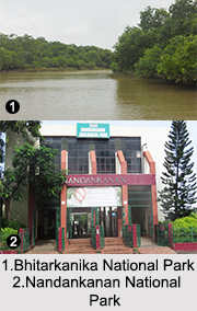 National Parks of Odisha