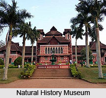Natural History Museum, Thruvananthapuram, Kerala