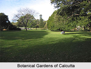 Natural History and Art during British Rule, British India