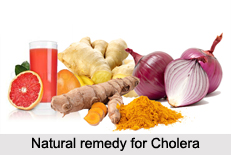 Natural Remedy for Cholera, Indian Naturopathy