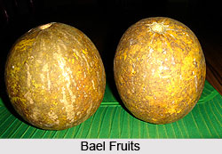 Natural Remedy for Dysentery, Naturopathy