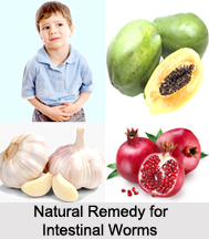 Natural Remedy for Intestinal Worms, Naturopathy