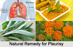 Natural Remedy for Pleurisy, Indian Naturopathy