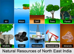 Natural Resources of North East India