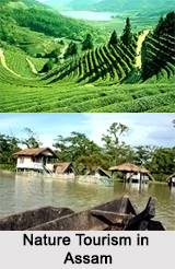 Nature Tourism in Assam