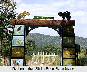 Nature Tourism in Gujarat
