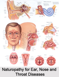Naturopathy for Ear, Nose and Throat Diseases, Indian Naturopathy