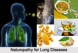 Naturopathy for Lung Diseases, Indian Naturopathy