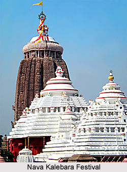 Nava Kalebara, Festival of Orissa