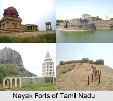 Nayak Forts of Tamil Nadu