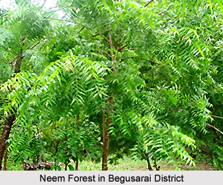Begusarai District, Bihar