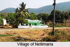 Nellimaria, Vizianagaram District, Andhra Pradesh
