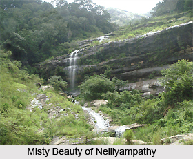 Nelliyampathy , Hill station in Kerala